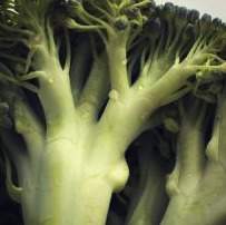 dieta vegetariana - broccoli contine calciu